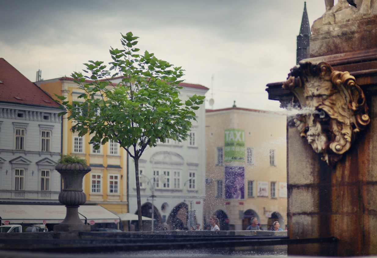 Budějovice vypráví